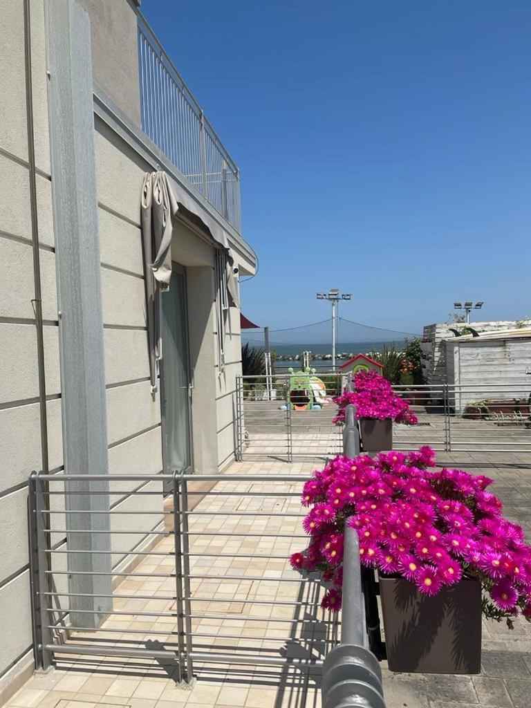 Hotel & Residence Cavalluccio Marino ริมินี ภายนอก รูปภาพ